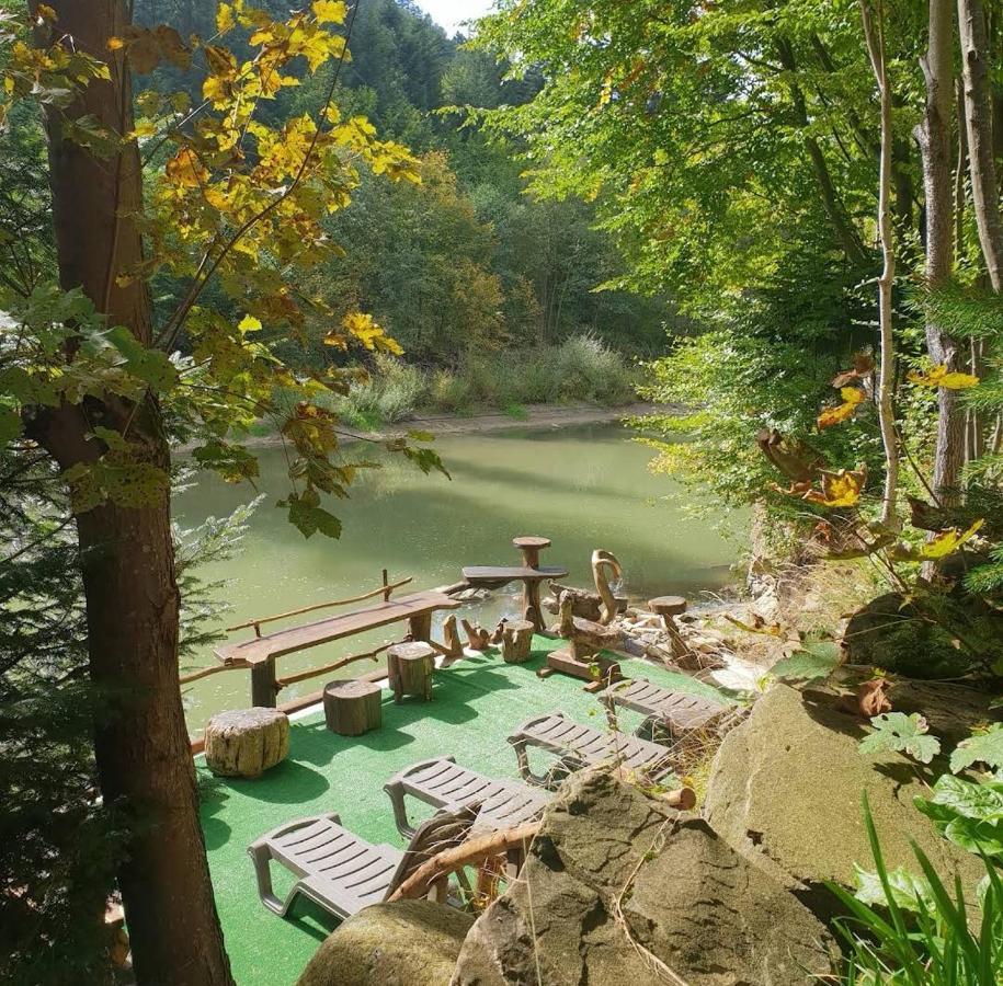 Villa Зарінок Карпат à Mykulychyn Extérieur photo