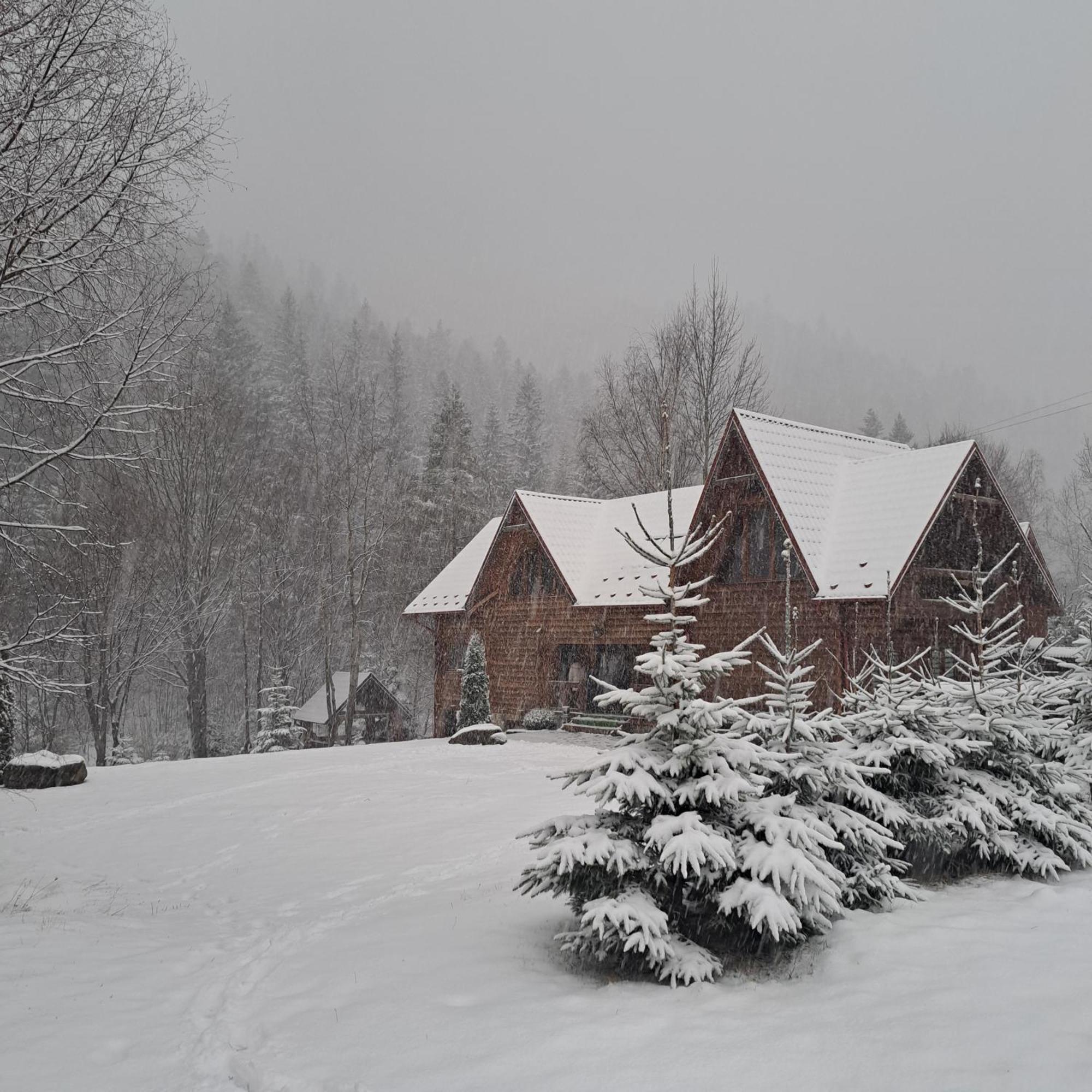 Villa Зарінок Карпат à Mykulychyn Extérieur photo